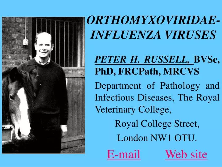 orthomyxoviridae influenza viruses