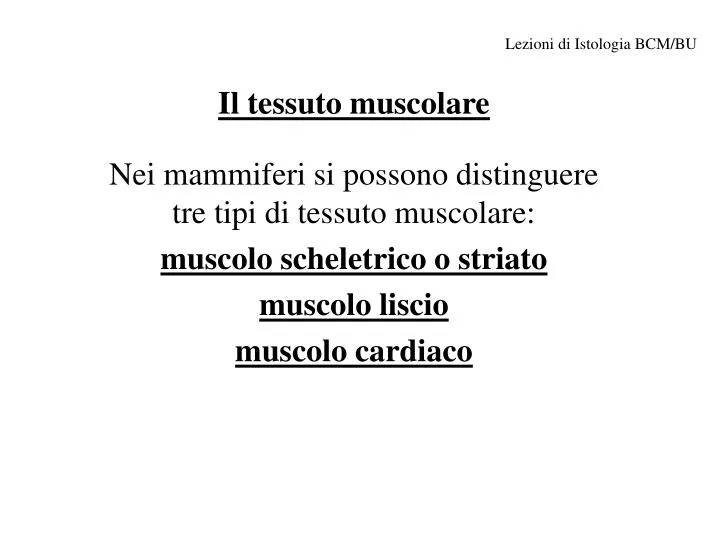 il tessuto muscolare