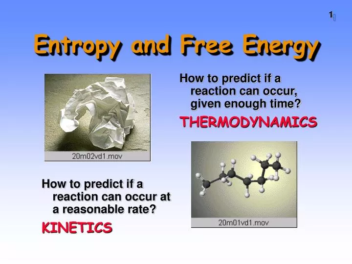 entropy and free energy