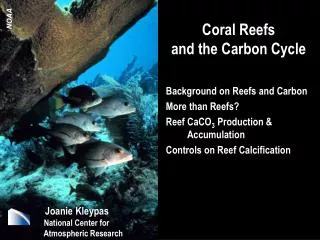 Coral Reefs and the Carbon Cycle