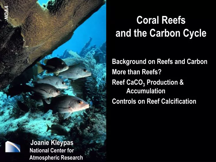 coral reefs and the carbon cycle