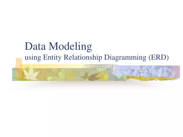 data modeling using entity relationship diagramming erd