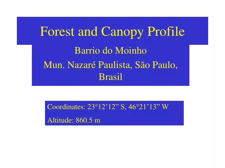 forest and canopy profile