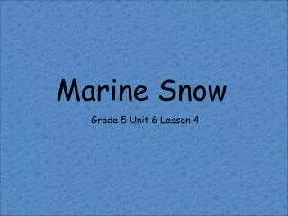 Marine Snow