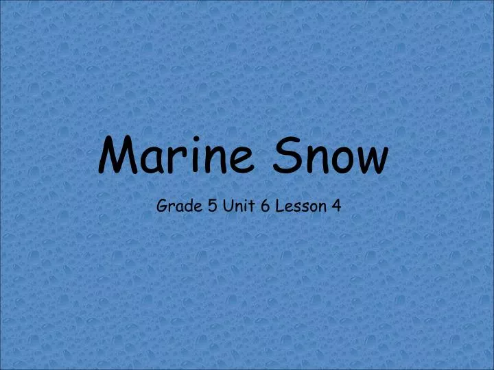 marine snow