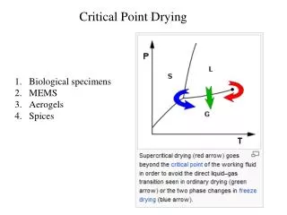 Critical Point Drying