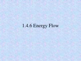 1.4.6 Energy Flow