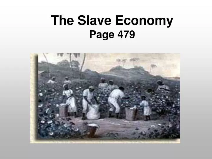 the slave economy page 479
