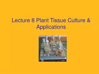 Lecture 8 Plant Tissue Culture &amp; Applications