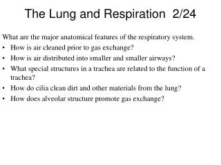 The Lung and Respiration 2/24