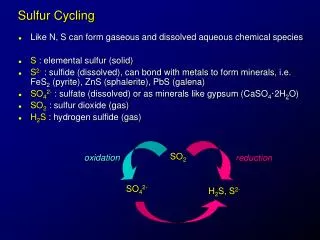 Sulfur Cycling