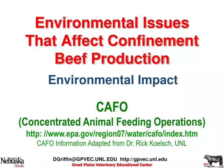 environmental issues that affect confinement beef production