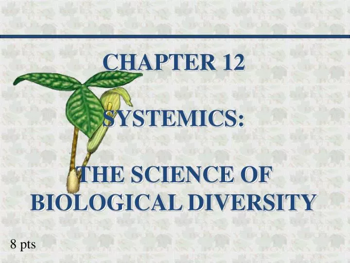 chapter 13 systematics