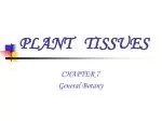 PLANT TISSUES - slide 1