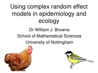 Using complex random effect models in epidemiology and ecology