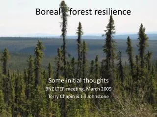 Boreal forest resilience