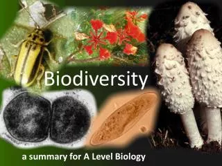 Biodiversity