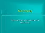 Karyotyping - slide 1