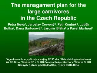 The managament plan for the large carnivores in the Czech Republic