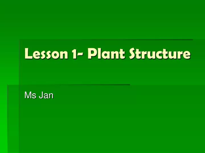 lesson 1 plant structure