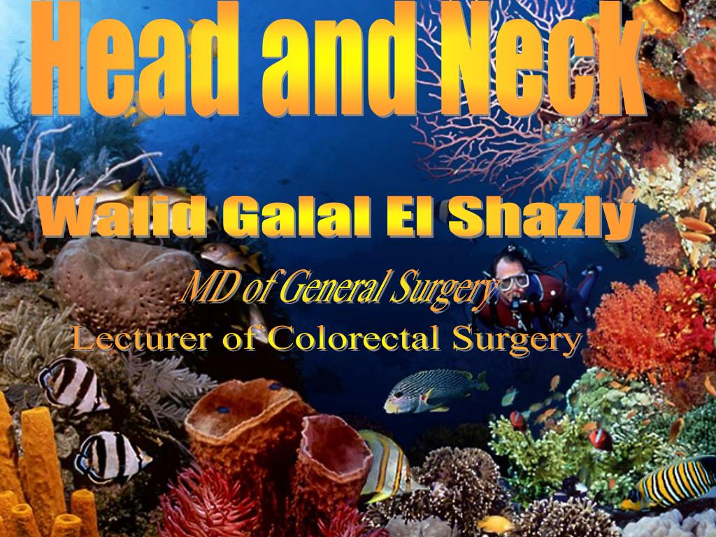 PPT - Head And Neck PowerPoint Presentation, free download - ID:1131116