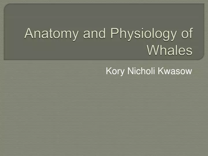 anatomy and physiology of whales