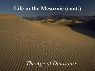 Life in the Mesozoic (cont.)