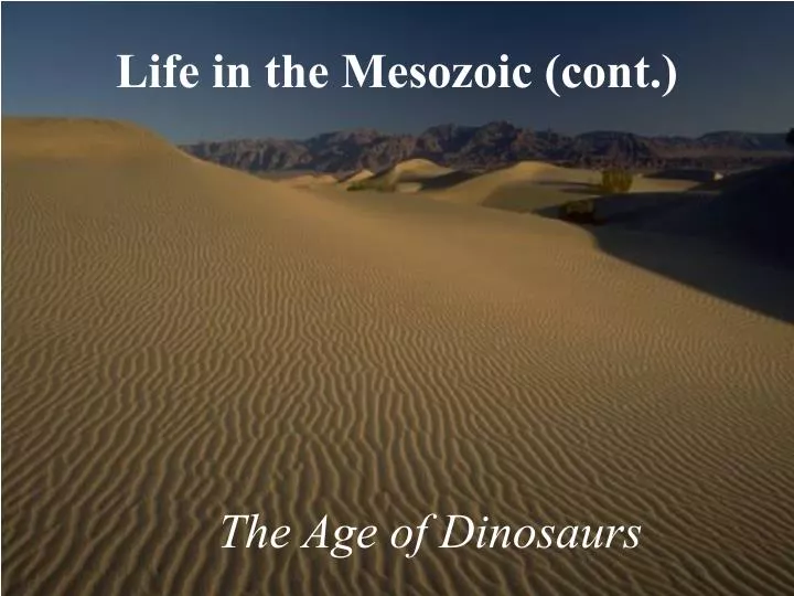 life in the mesozoic cont