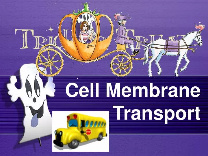 cell membrane transport