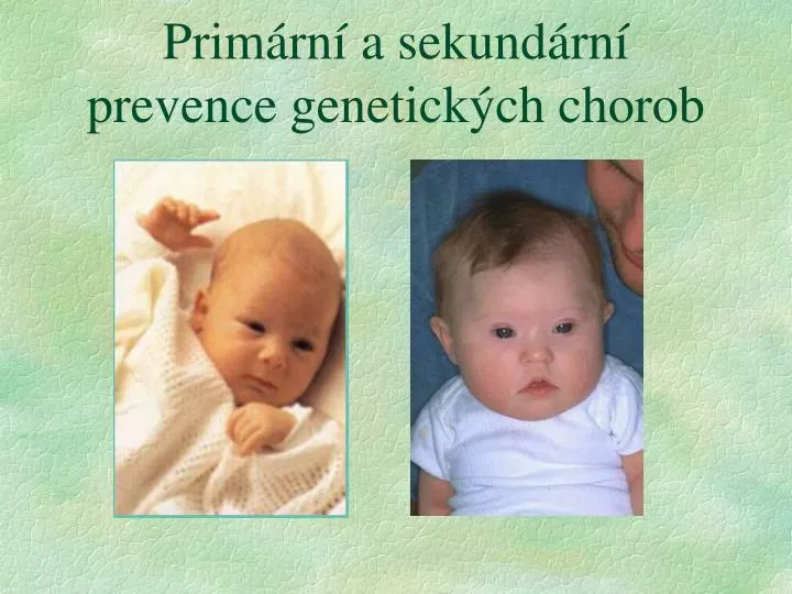 prim rn a sekund rn prevence genetick ch chorob