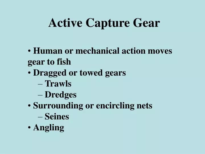PPT - Active Capture Gear • Human or mechanical action moves gear to fish •  Dragged or towed gears – Trawls – Dredges • S PowerPoint Presentation -  ID:1131416