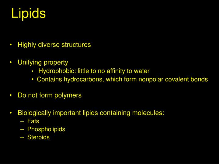 lipids