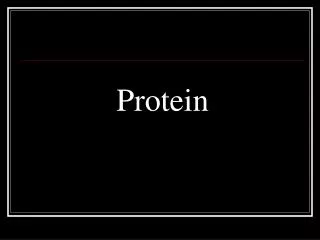 Protein