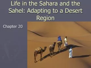 Life in the Sahara and the Sahel: Adapting to a Desert Region