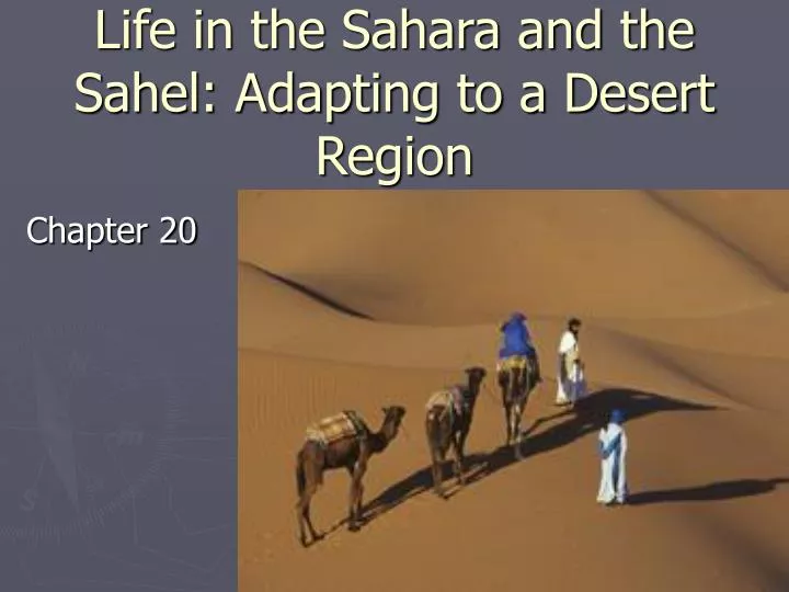 life in the sahara and the sahel adapting to a desert region