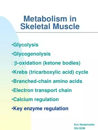 Metabolism in Skeletal Muscle