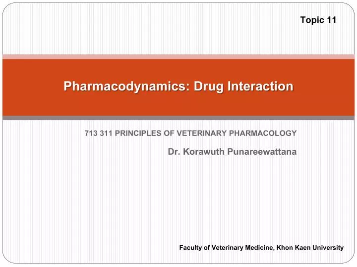 pharmacodynamics drug interaction