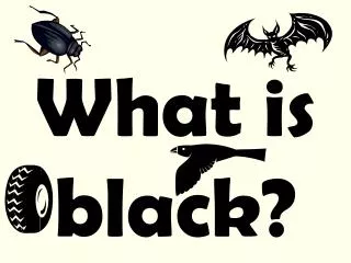 What is black?