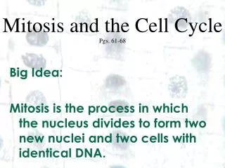 Mitosis and the Cell Cycle Pgs. 61-68