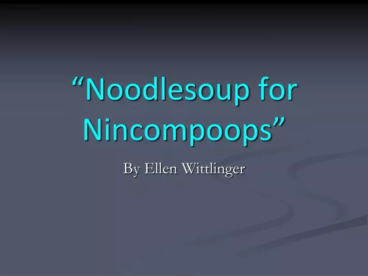 noodlesoup for nincompoops