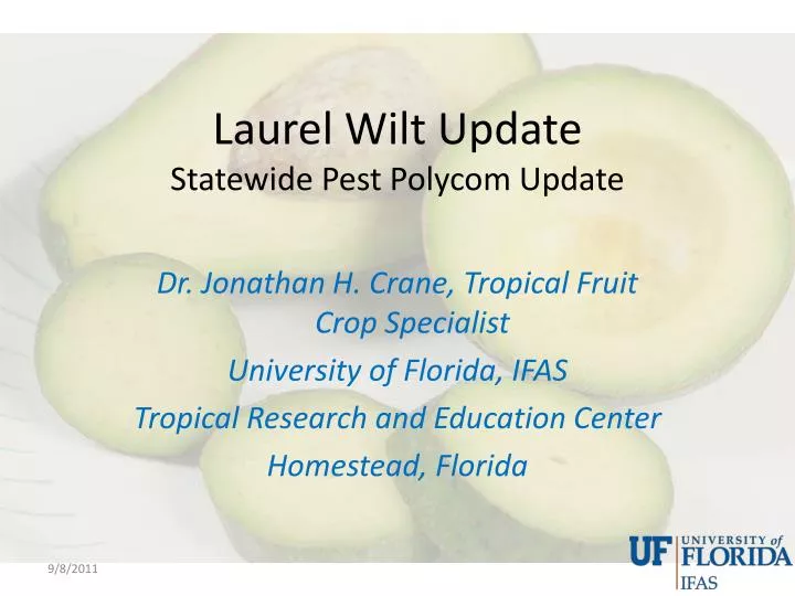 laurel wilt update statewide pest polycom update