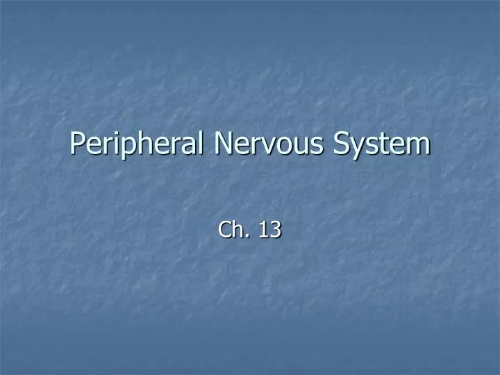 peripheral nervous system