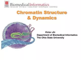 Chromatin Structure &amp; Dynamics