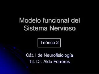 modelo funcional del sistema nervioso
