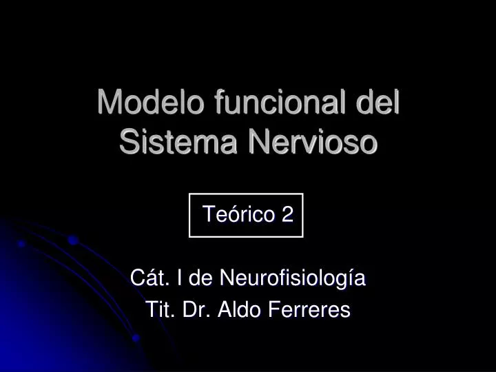 modelo funcional del sistema nervioso