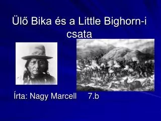 Ülő Bika és a Little Bighorn-i csata