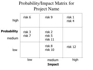 Probability/Impact Matrix for Project Name