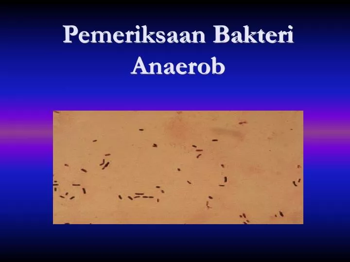 pemeriksaan bakteri anaerob