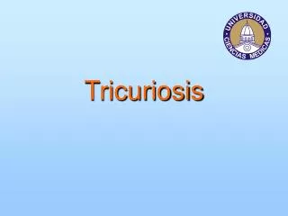 tricuriosis