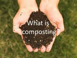 What is composting?